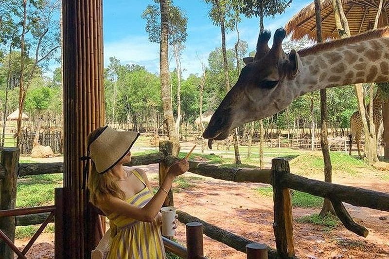 Vé Vinpearl Safari Phú Quốc